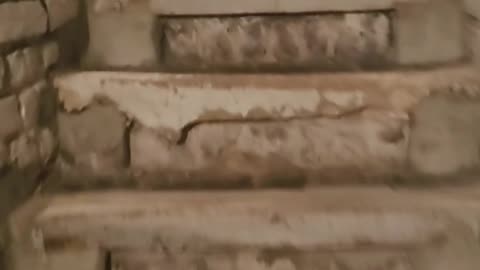 Well.. Have you? - Exploring a basement in France