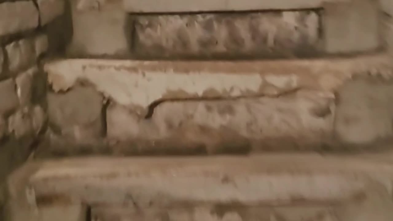 Well.. Have you? - Exploring a basement in France