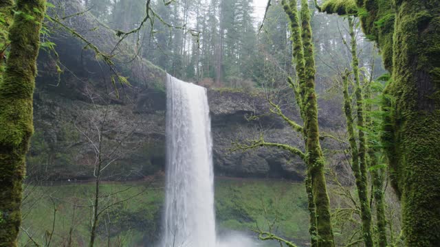 Waterfall in the Forest