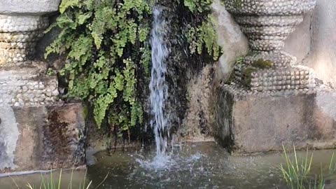 The garden of earthly delights in Barcelona