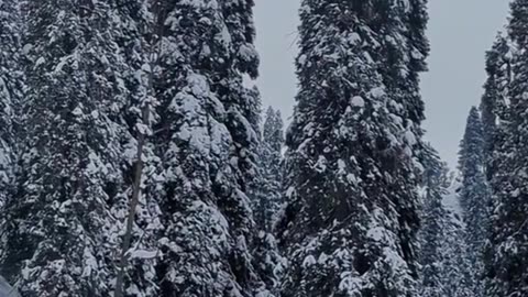 Beautiful place in pakistan