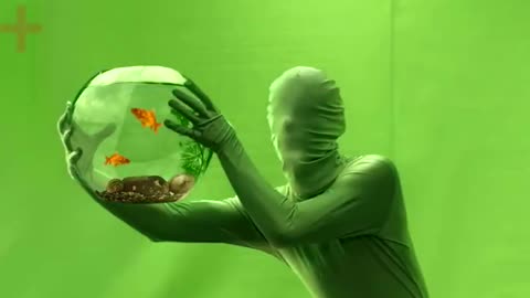 sometime fishy about mysterio