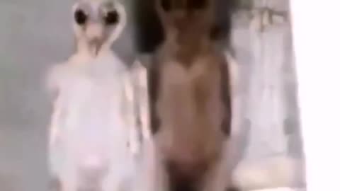 things you never seen before