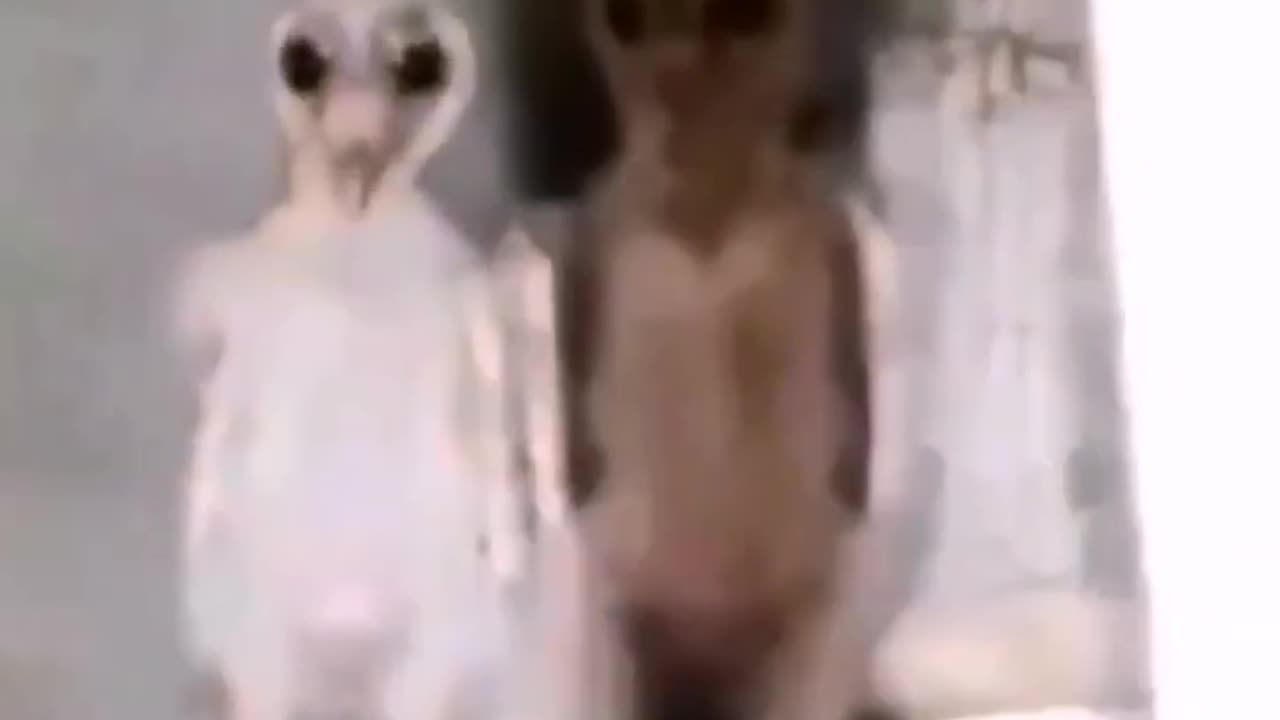 things you never seen before