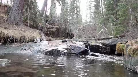 Mountain Stream Relaxation