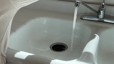 Do they prefer cold or lukewarm water? ?
