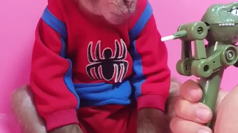 Cute baby monkey eat lolipope with dinosaur 🦖