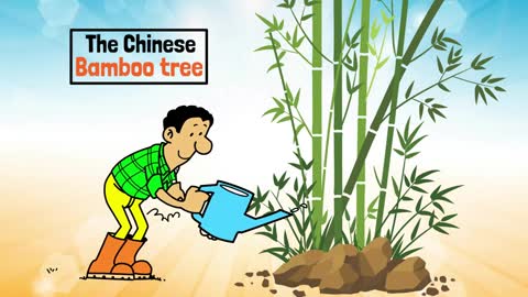 Life and Success Lessons from the Chinese Bamboo Tree