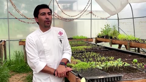 Chile's 'seed guardians' preserve forgotten plant varieties