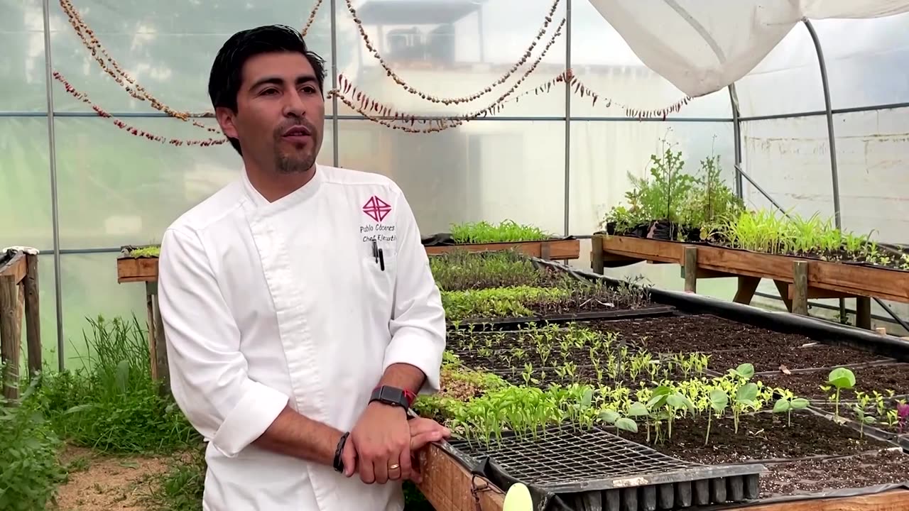 Chile's 'seed guardians' preserve forgotten plant varieties