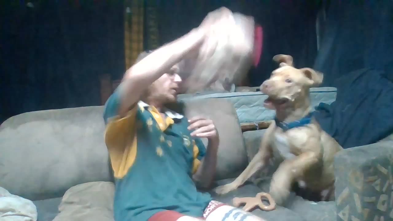 New dog rehab update + the rest is crazy.. + wow. LOL