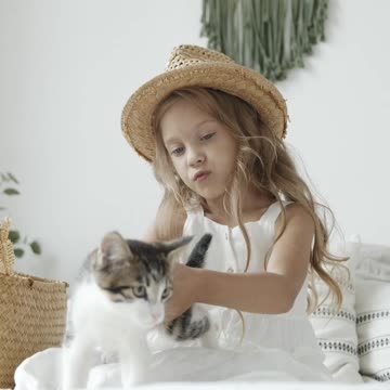 How to train cat and dog at home