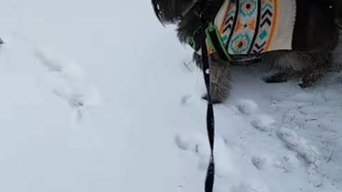 Snow days
