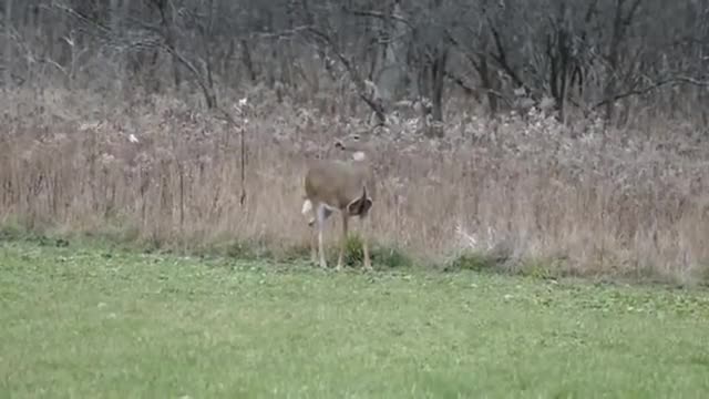 4 Year Old Rory Filming With Grandpa