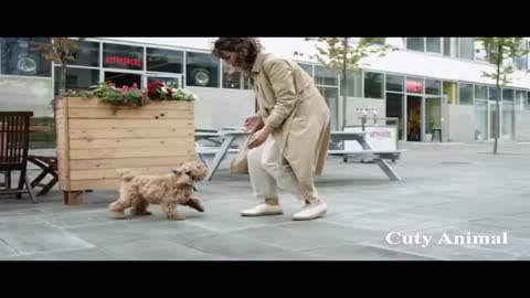 Lady Playing With Dog