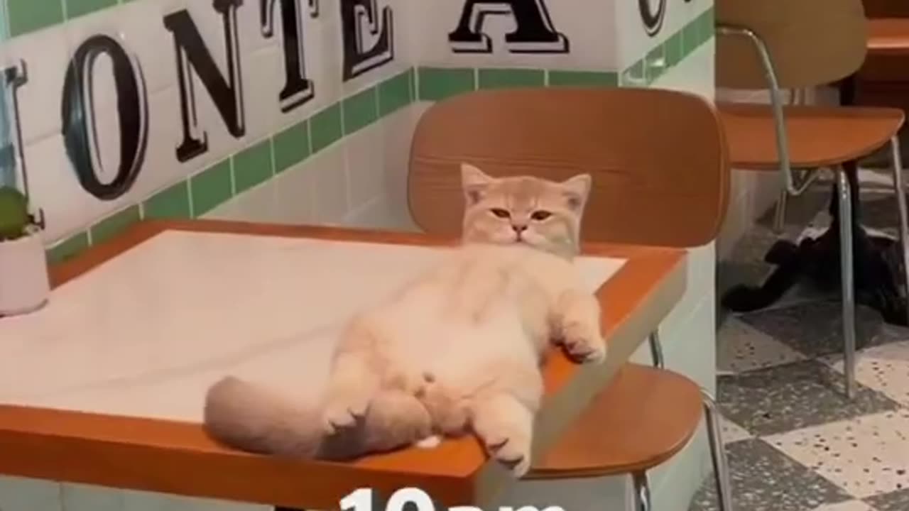 π« π βΊοΈ DO NOT DISTURB