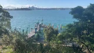 The charge of the online light brigade (11-7-22)