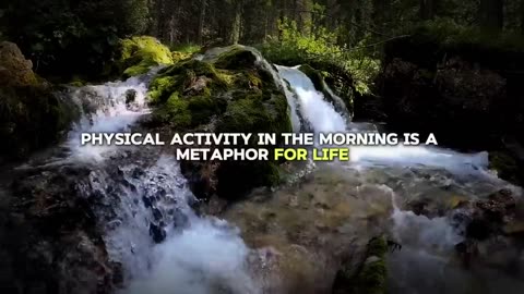 Win The Day Before It Start - Jim Rohn Motivational Speech