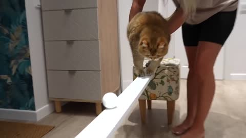 New Catt Good🤩