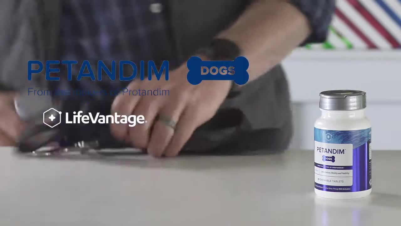 Dogs Health