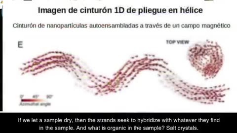 Hibridación Humana (con tecnología de mARN y grafeno en vacunas)