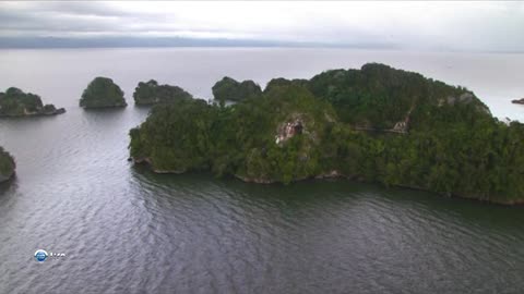 Beautiful nature of the Antilles