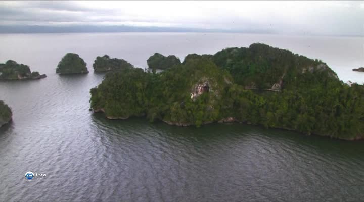 Beautiful nature of the Antilles