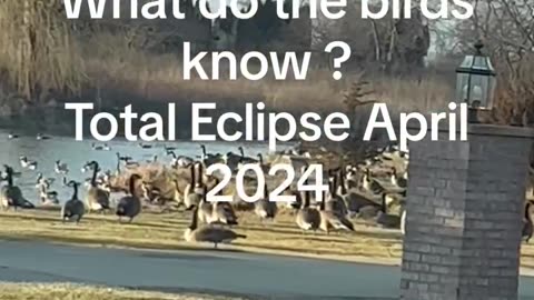 Eclipse...