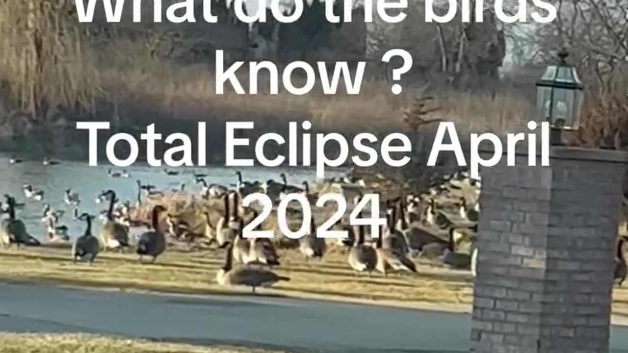 Eclipse...