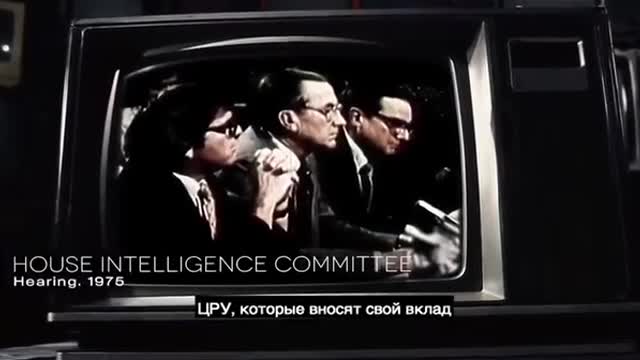 씨아이에이 막킹버드