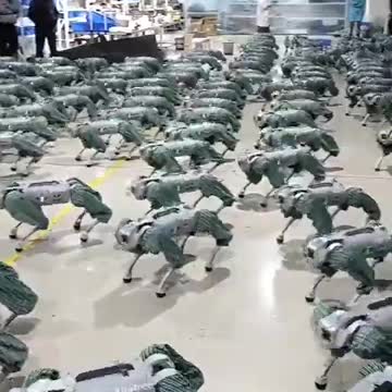 Cães Robôs GO1 Unitree