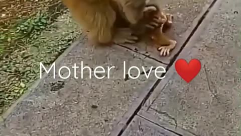 bad mother