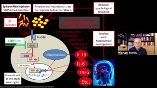 Lithium to Relieve Spikeopathy