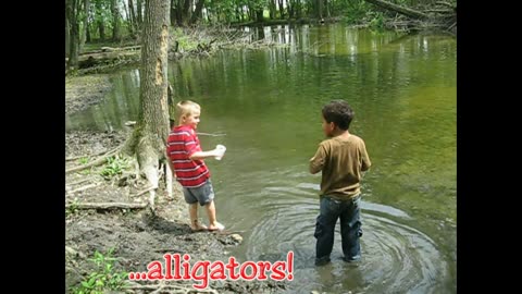 Catching Alligators & Sharks!