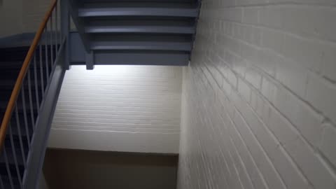 3869FHOB01Stair6_2021-01-06_01h40min00s333ms.mp4
