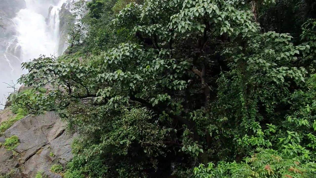 dudhsagar waterfalls