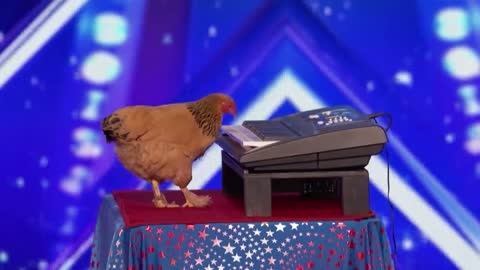 Jokgu of the Flockstars Chicken Plays Patriotic Tune on Keyboard - America's Got Talent 2017