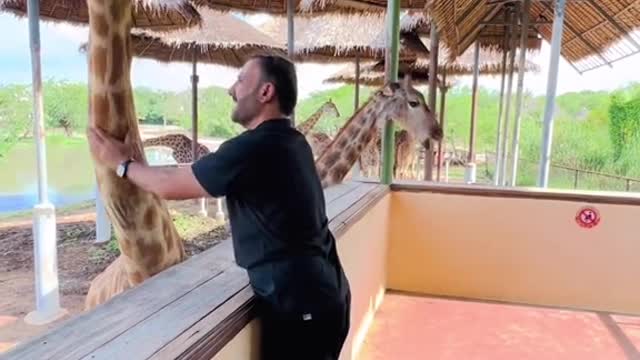 Feeding Giraffe 🦒