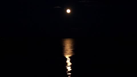 Relax Listen and Sleep