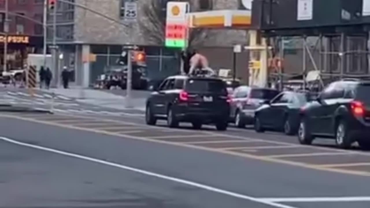 Funny Car Moments Part 3: Hilarious Rides and Epic Fails!