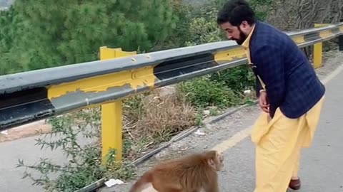 Funny Video Monkey Attack on man 🐒🐵