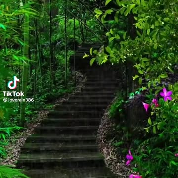 Gr liton Natural Clips, Natural Video Clips # - 85