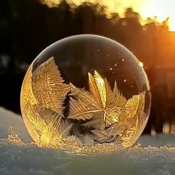 Watch a Bubble Freeze!