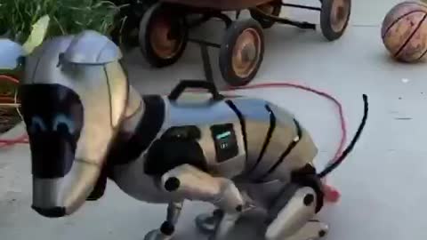 Dog robô