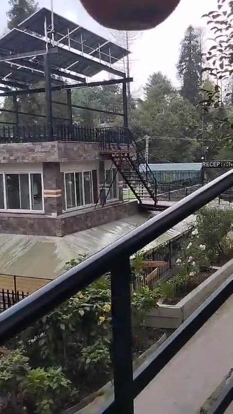 Pakistan Tour 2024-P-22