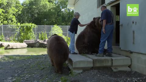 Our Big Bear Family