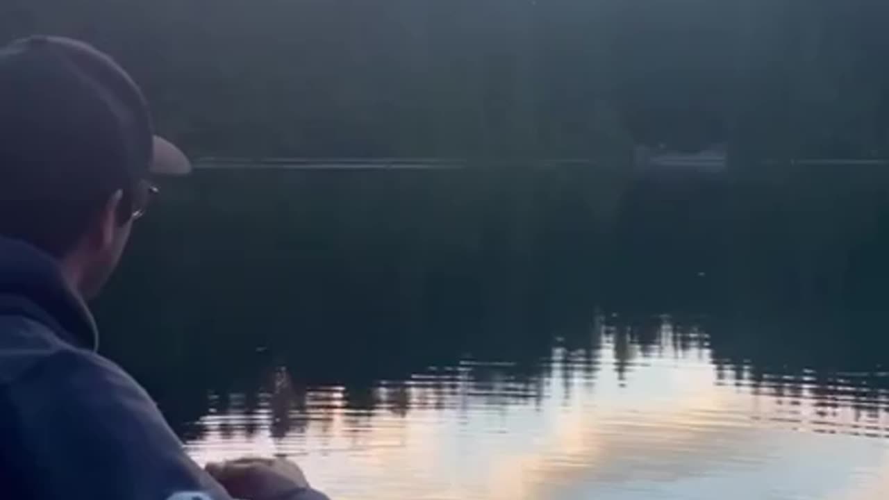 Nature & music 🎵🎶