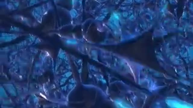 .What Happens To The Brain During Sleep_ #shorts