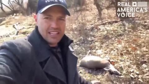 Dead Deer Now Being Found Downstream From East Palestine