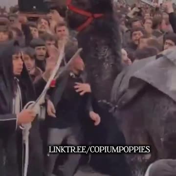 These folks know how to party!